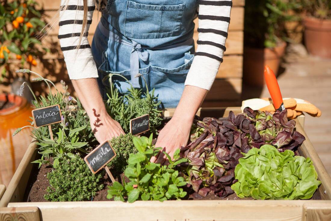 Having your own garden gets you healthy and ecological food.